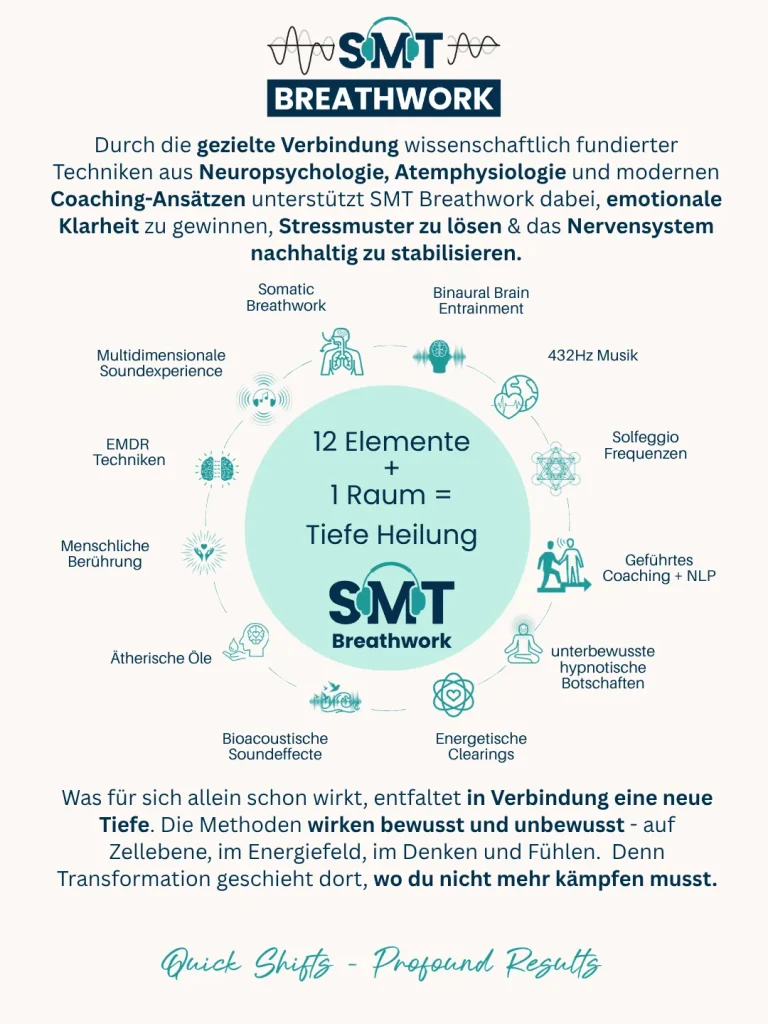 Grafik SMT Breathwork®: 12 Elemente plus 1 Raum